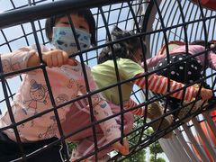 -枫香湖儿童公园