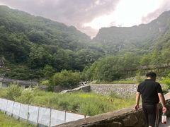 -牛背梁国家森林公园