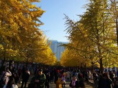 -辽宁大学(崇山校区)
