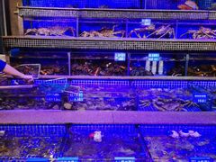 -青蓬蒸汽海鲜·深圳老字号·团建聚会(壹方城店)