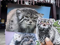 -青藏高原野生动物园
