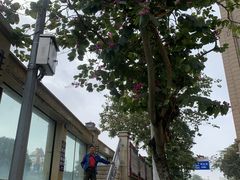 -东兴口岸-中越友谊大桥