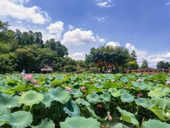 -广州莲花山旅游区
