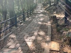 -苏州上方山国家森林公园