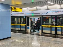 -大龙山(地铁站)