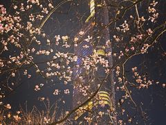 -紫峰大厦