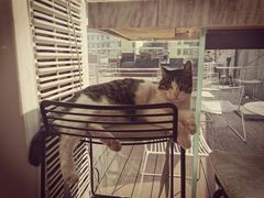 -UNI UNI(环亚凯瑟琳店)