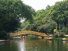 -晓港公园