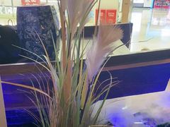 -绿茶餐厅(光谷世界城步行街店)