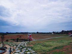 -空港花田景区