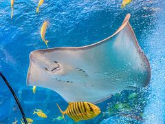 -太平洋海底世界