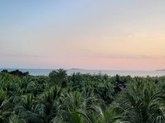 -三亚湾海居铂尔曼度假酒店