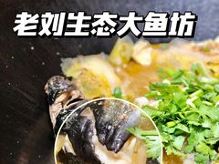 -老刘生态大鱼坊铁锅炖鱼(赛马场店)