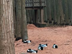-青山湖景区