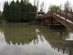 -溱湖国家湿地公园