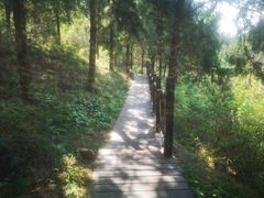 -北京十三陵国家森林公园蟒山景区