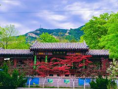 -佛慧山