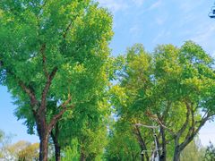 景点-斯大林公园