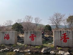 -香雪海