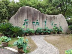 -荷塘月色湿地公园·向阳花洲