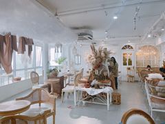 -共舞时光猫咖·狗咖(新街口店)