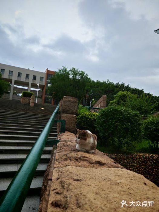 广东外语外贸大学(白云山校区)图片
