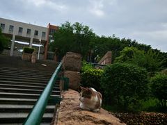 -广东外语外贸大学(白云山校区)