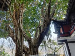 -白帝城·瞿塘峡景区