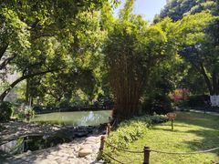 -成都市活水公园