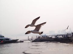 -星海广场
