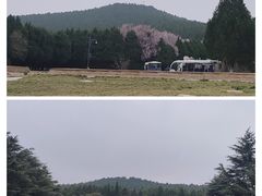 -秦始皇帝陵博物院-丽山园