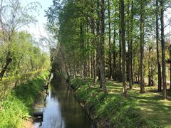 -前小桔亲子创意农场·草莓采摘·露营烧烤