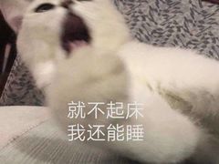 -喜鹊茶点.啫煲(车陂店)
