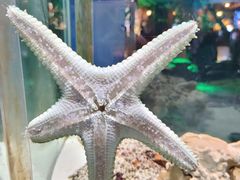 -太平洋海底世界