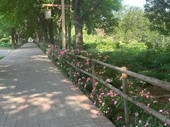 -洛阳市隋唐城遗址植物园