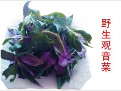 -菜当家