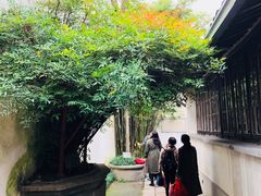 景点-乌镇东栅景区-茅盾故居