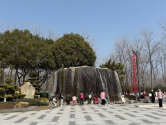 -合肥滨湖国家森林公园