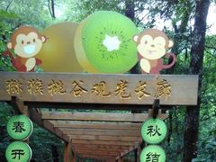 -大岭沟猕猴桃谷风景区