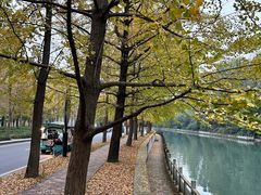 -成都市活水公园