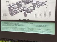 -大宁郁金香公园-停车场