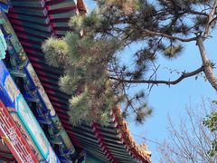 -重庆园博园