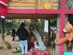 -HERRE·FARM 赫尔露营农场·团建聚会包场