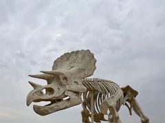 -二连浩特国家地质公园