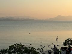 -深圳湾公园(南山区)
