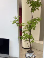 -FOR YOU造型