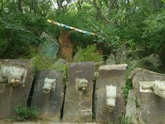 -五龙山