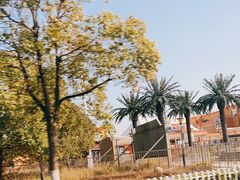 -上海玛雅海滩水公园