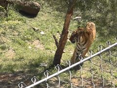 -石家庄市动物园