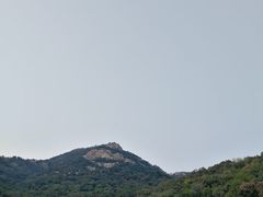 -石老人观光园